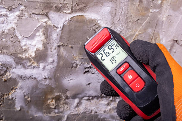 Trusted Davis, CA Mold Remediation Experts